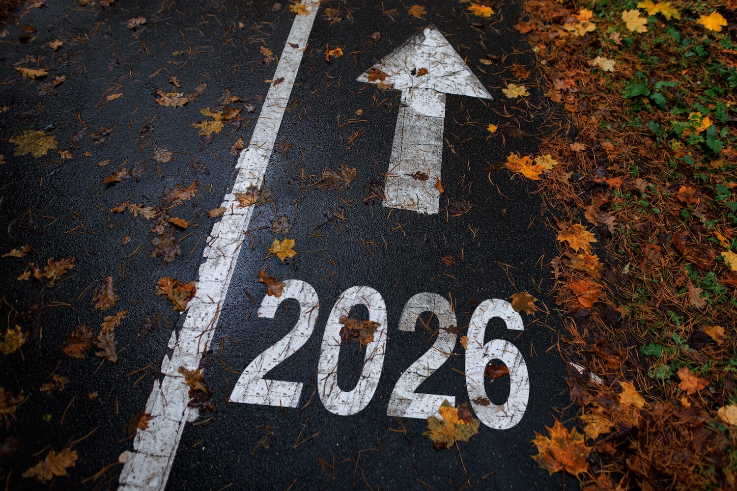 5 Things Your Website Needs in 2026 | Absolute Web Design